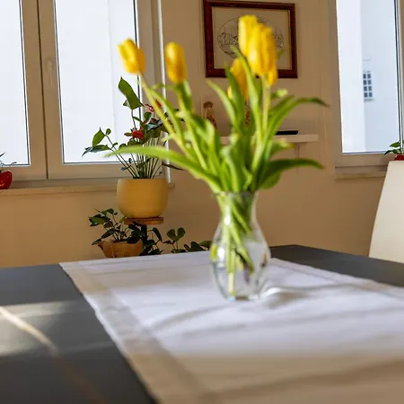 Dukic Apartment
